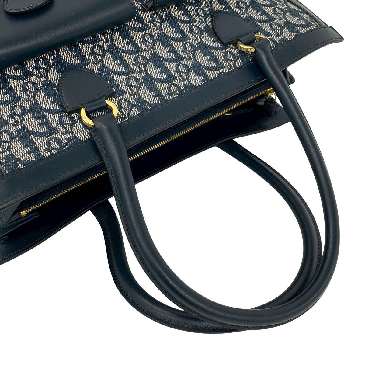 Christian Dior Trotter Canvas Leather Handbag