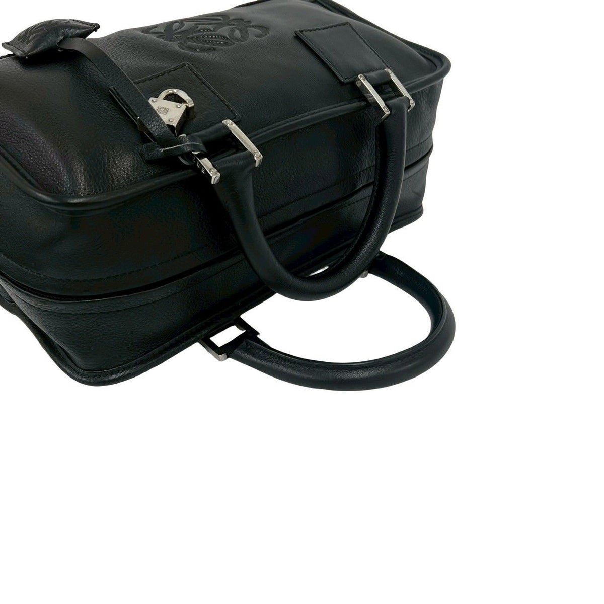 Loewe Amazona Leather Handbag