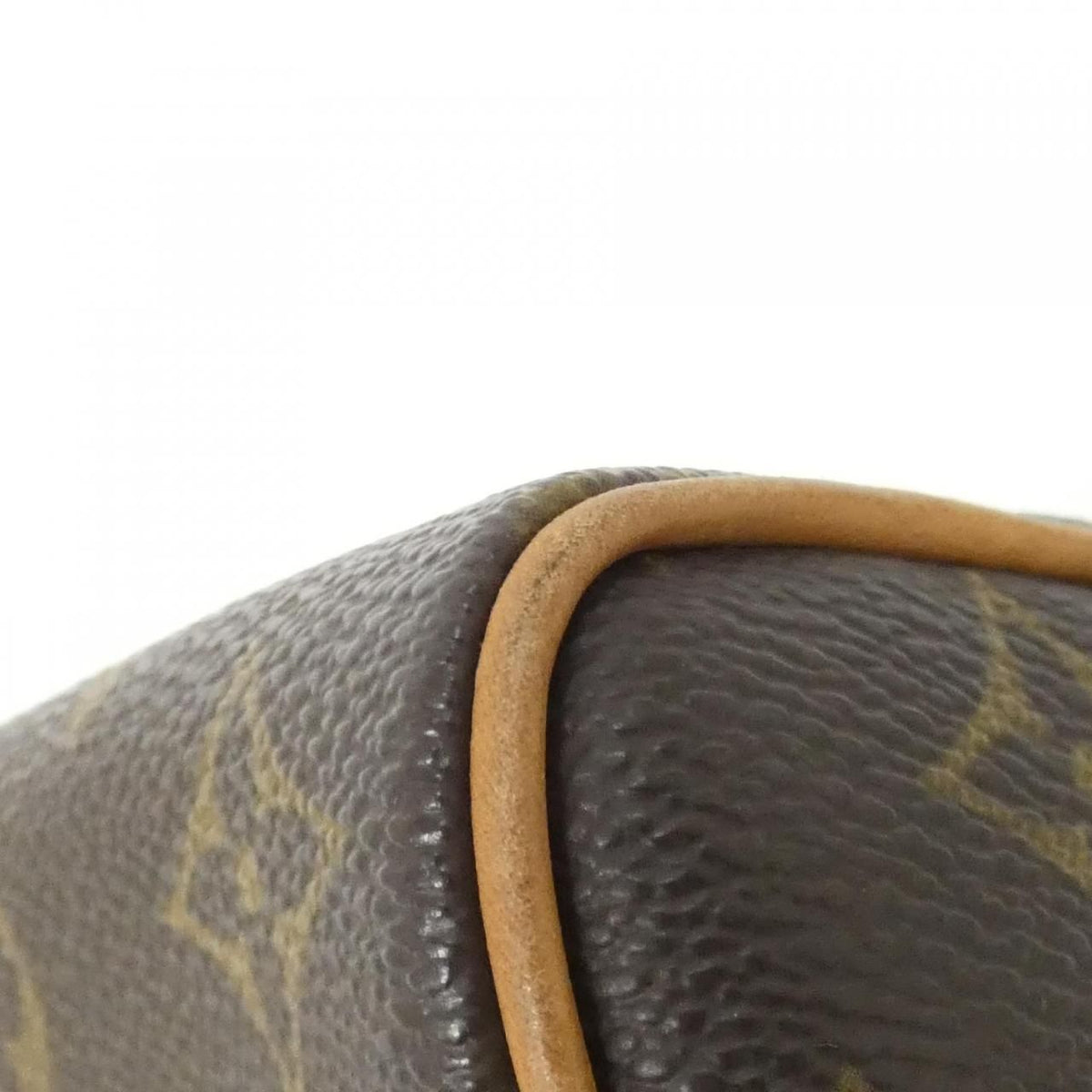 Louis Vuitton Monogram Bag