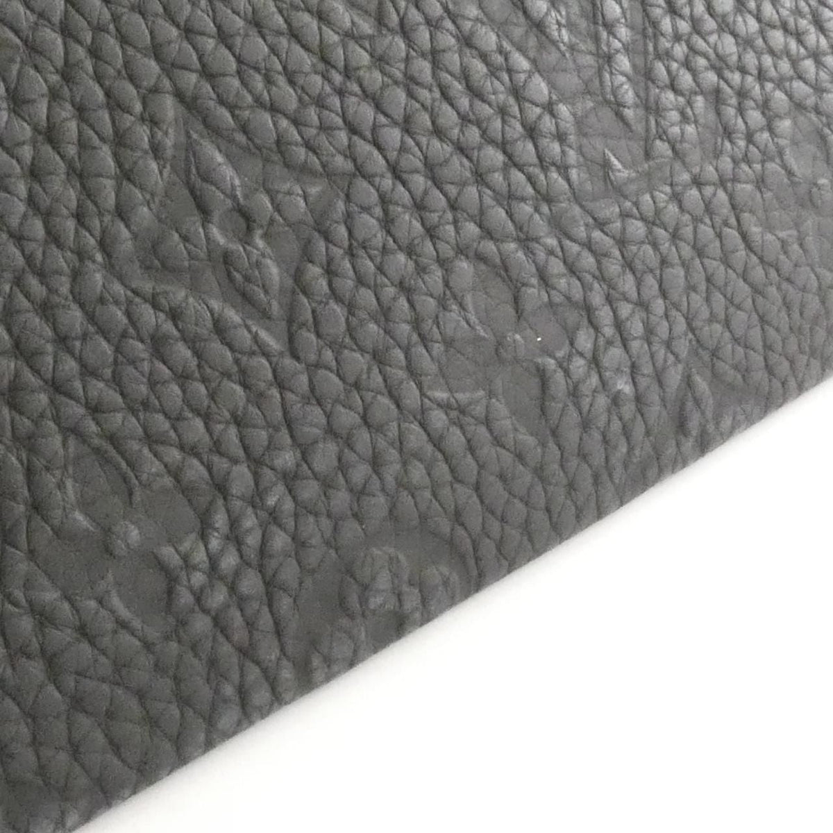 Louis Vuitton Monogram Taurillon Pouch