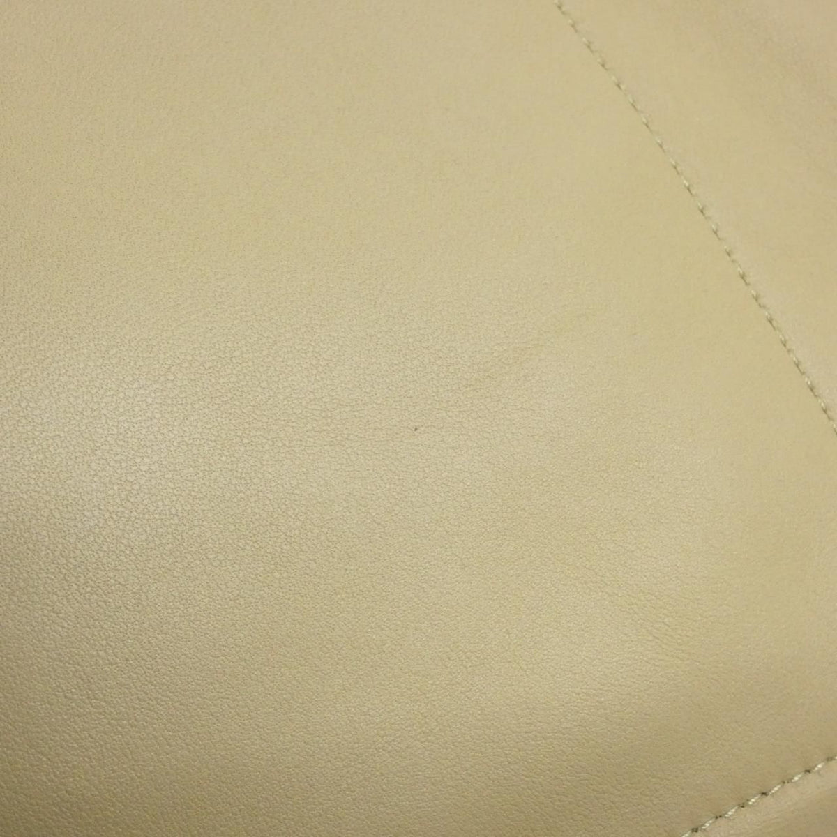 Loewe Squeeze Medium Melonappa Lambskin Bag