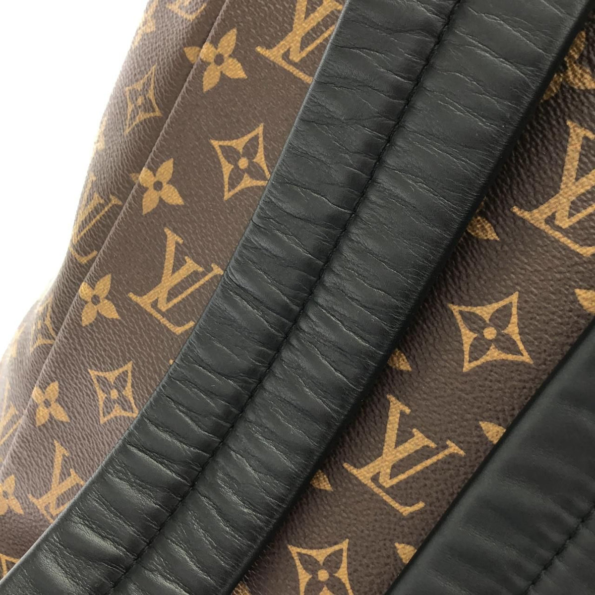 Louis Vuitton Monogram Macassar Backpack