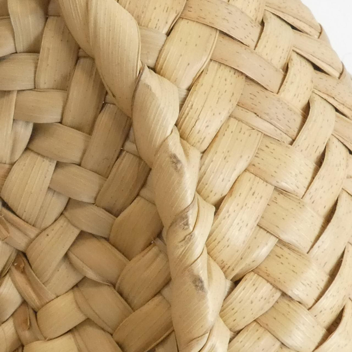 Loewe Raffia Calf Shoulder Bag