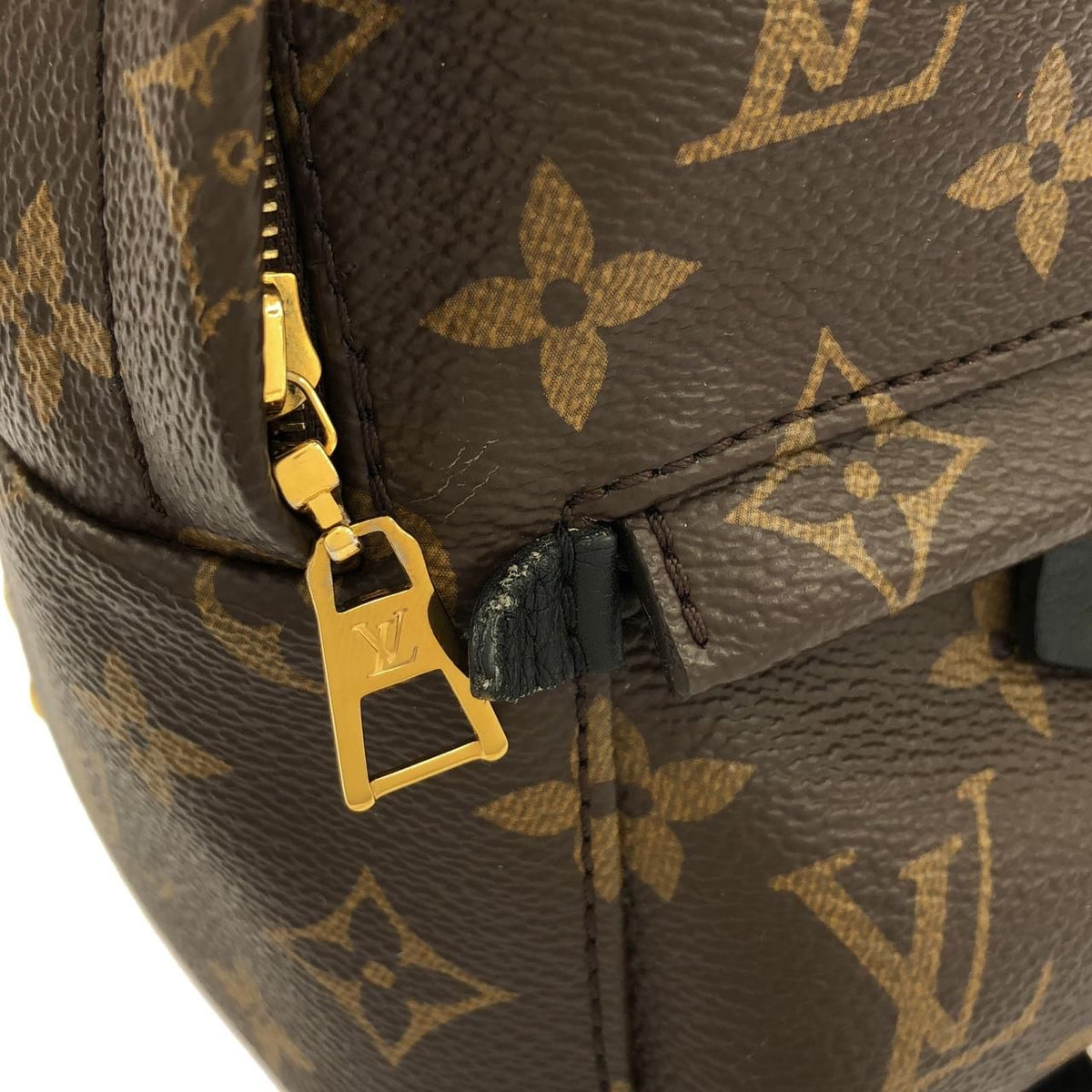 Louis Vuitton Palm Springs Monogram Backpack
