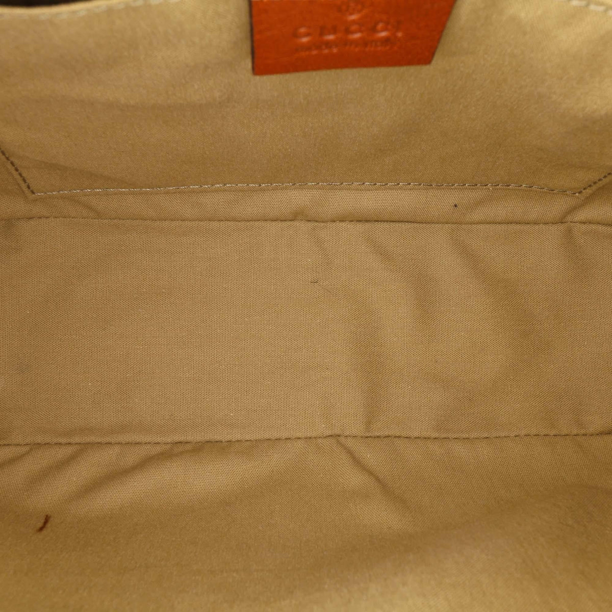 Gucci Canvas Web Camera Bag