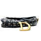 Christian Dior Oblique 2way bag