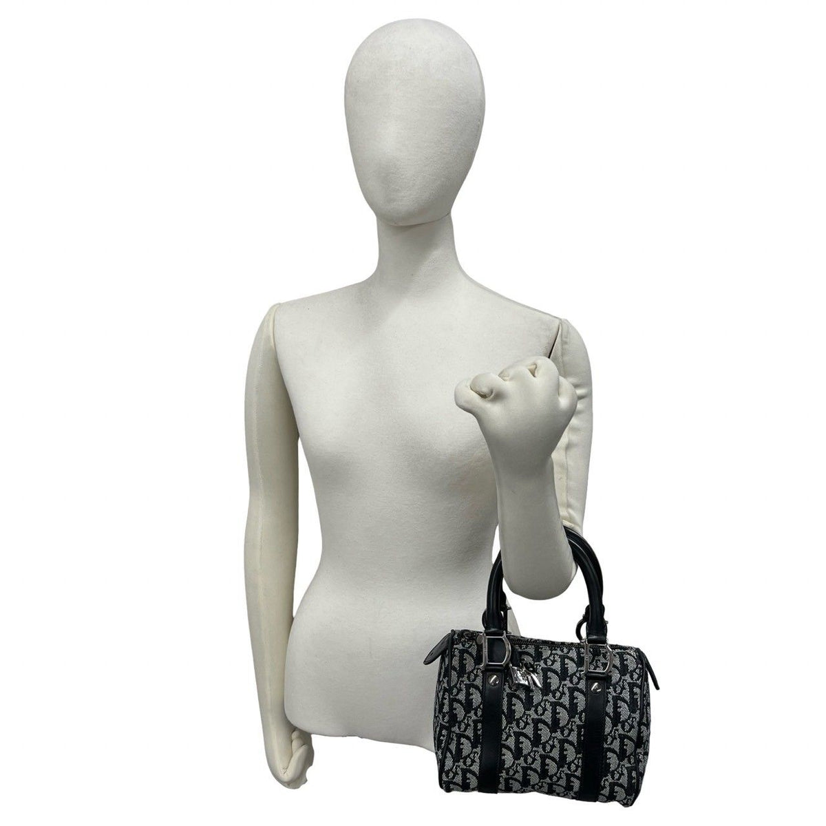 Christian Dior Trotter Canvas Leather Handbag