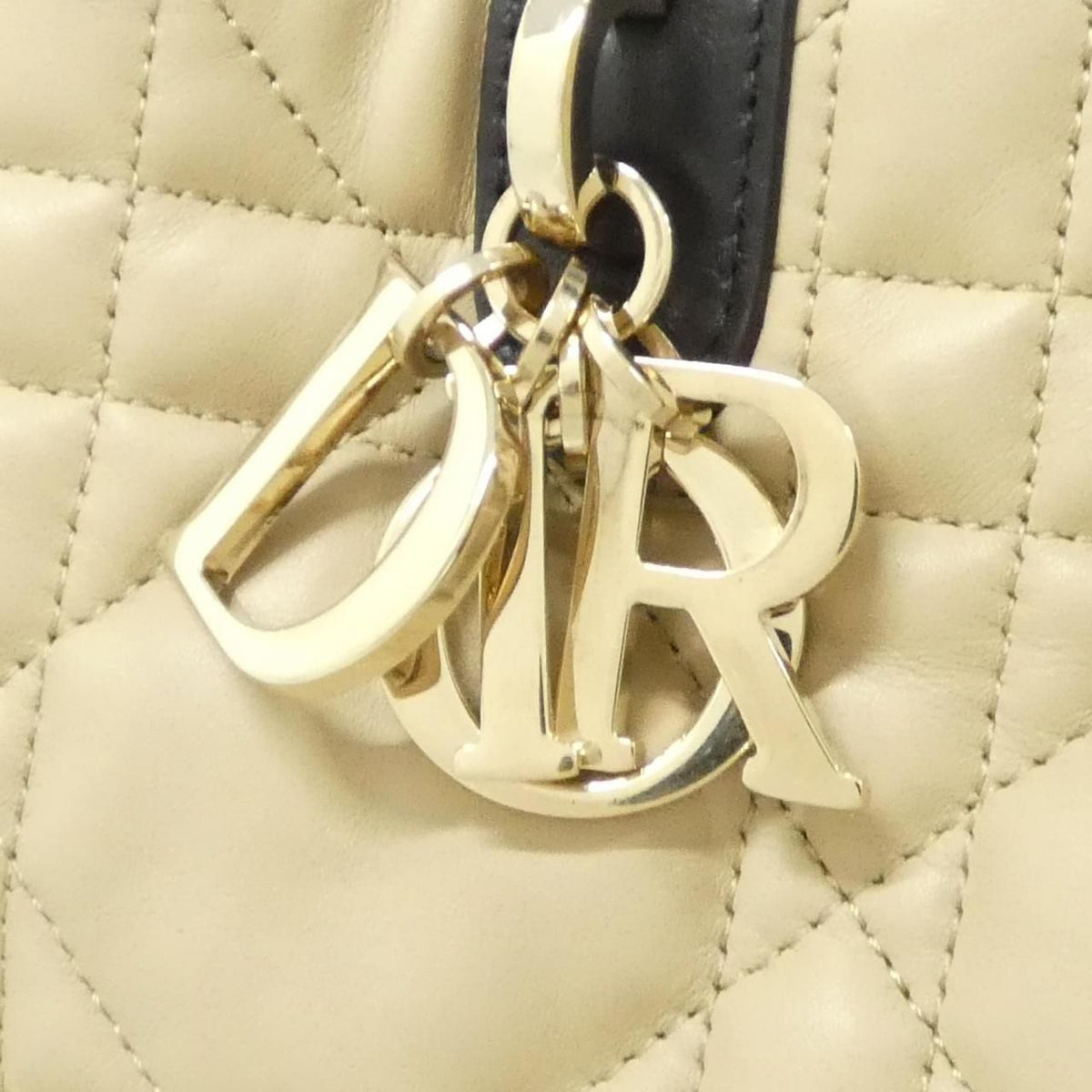 Christian Dior Dior Toujours Calf Handbag