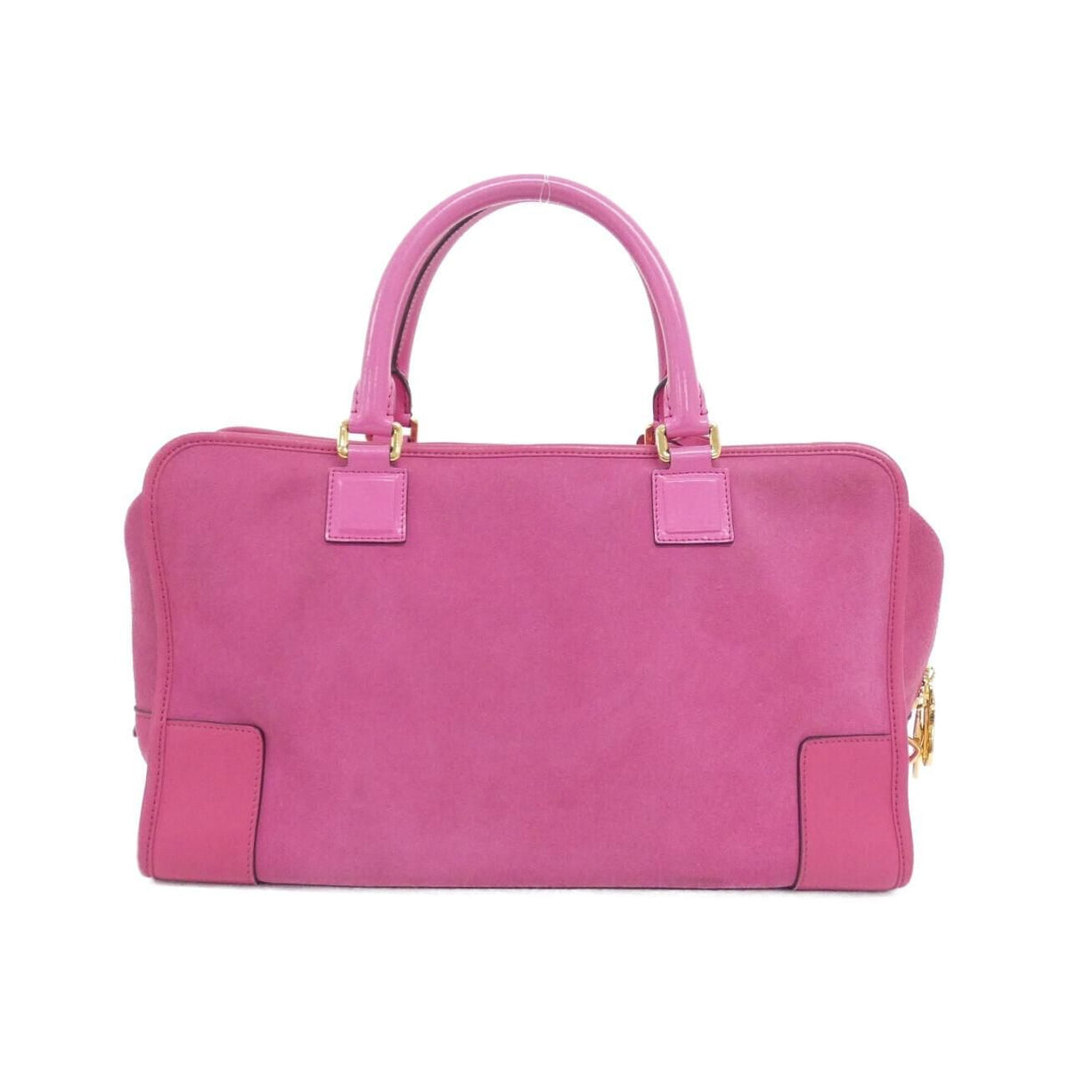 Loewe Amazona Leather Handbag