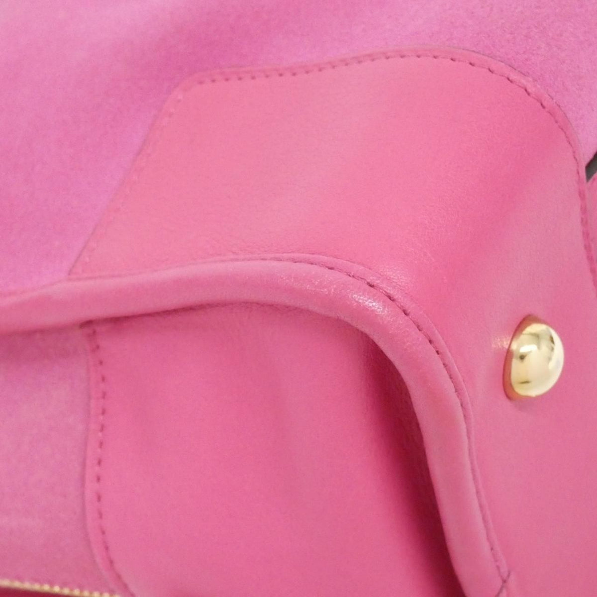 Loewe Amazona Leather Handbag