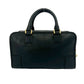 Loewe Amazona 28 Leather Handbag