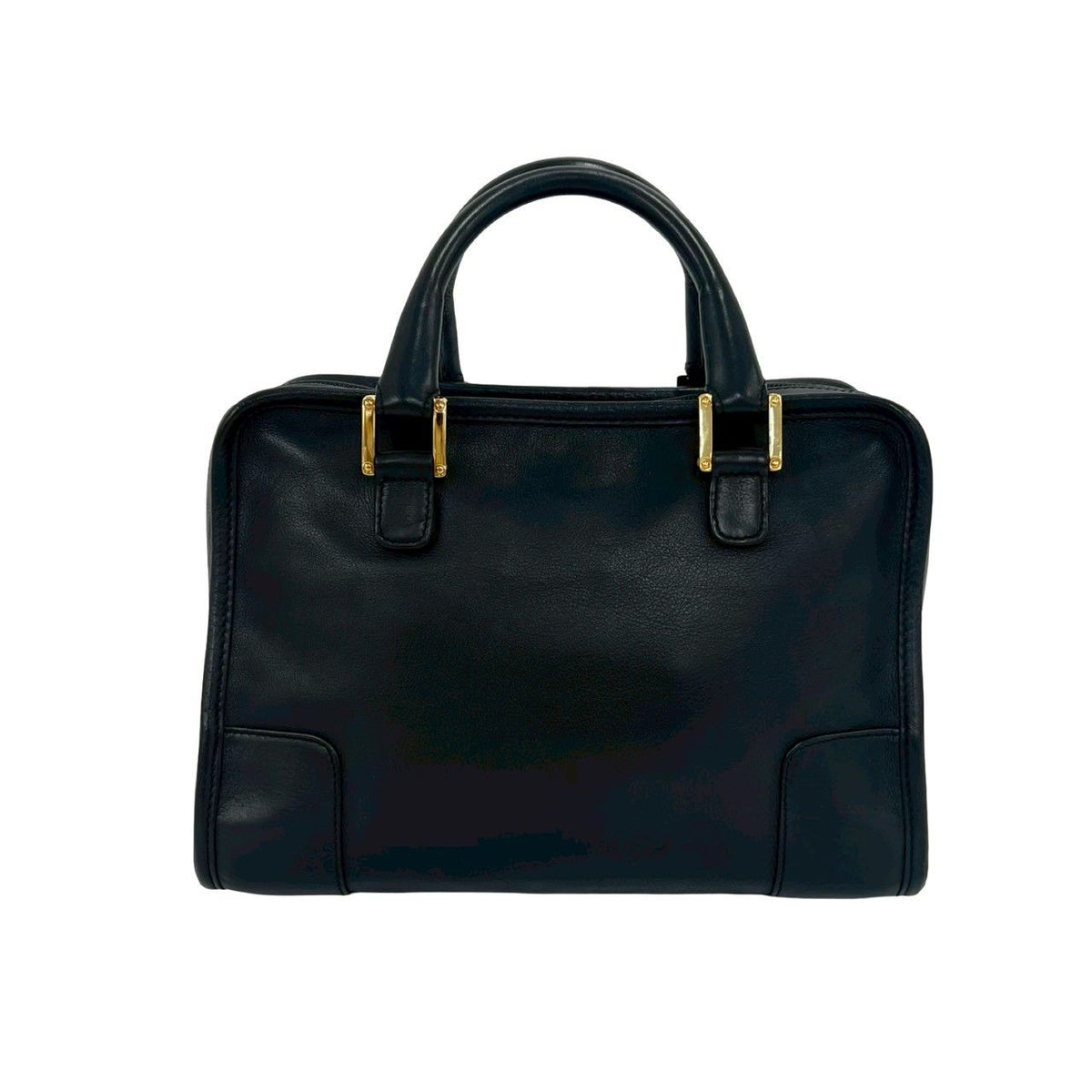 Loewe Amazona Leather Handbag