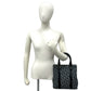 Christian Dior Trotter Canvas Leather Handbag