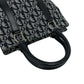 Christian Dior Trotter Canvas Leather Handbag