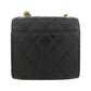 Chanel Lamb Shoulder Bag