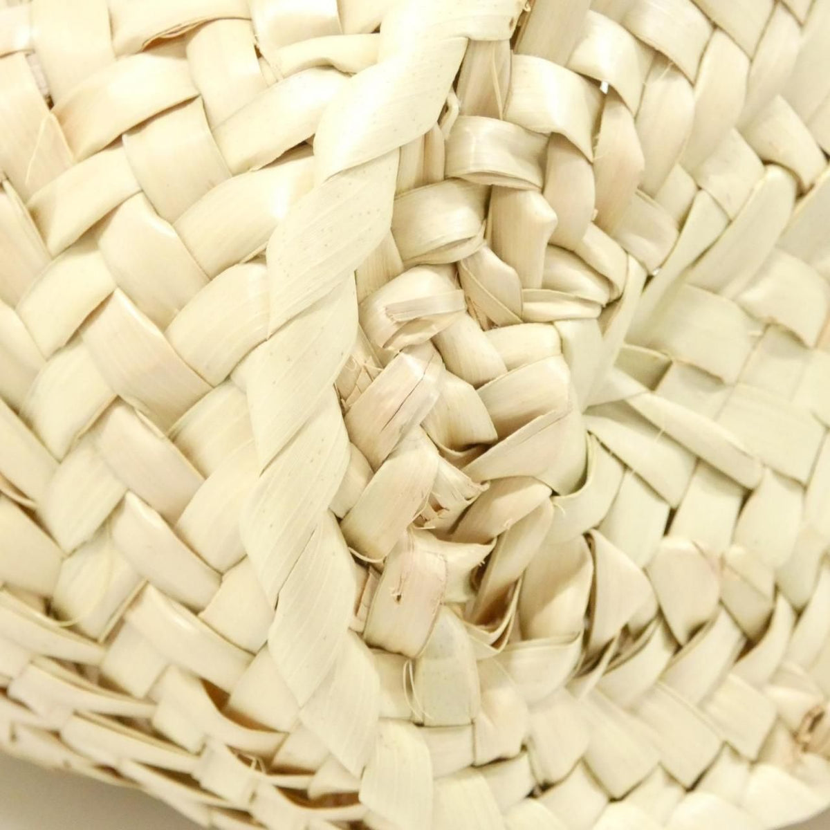 Loewe Palm Leaf Calf Bag