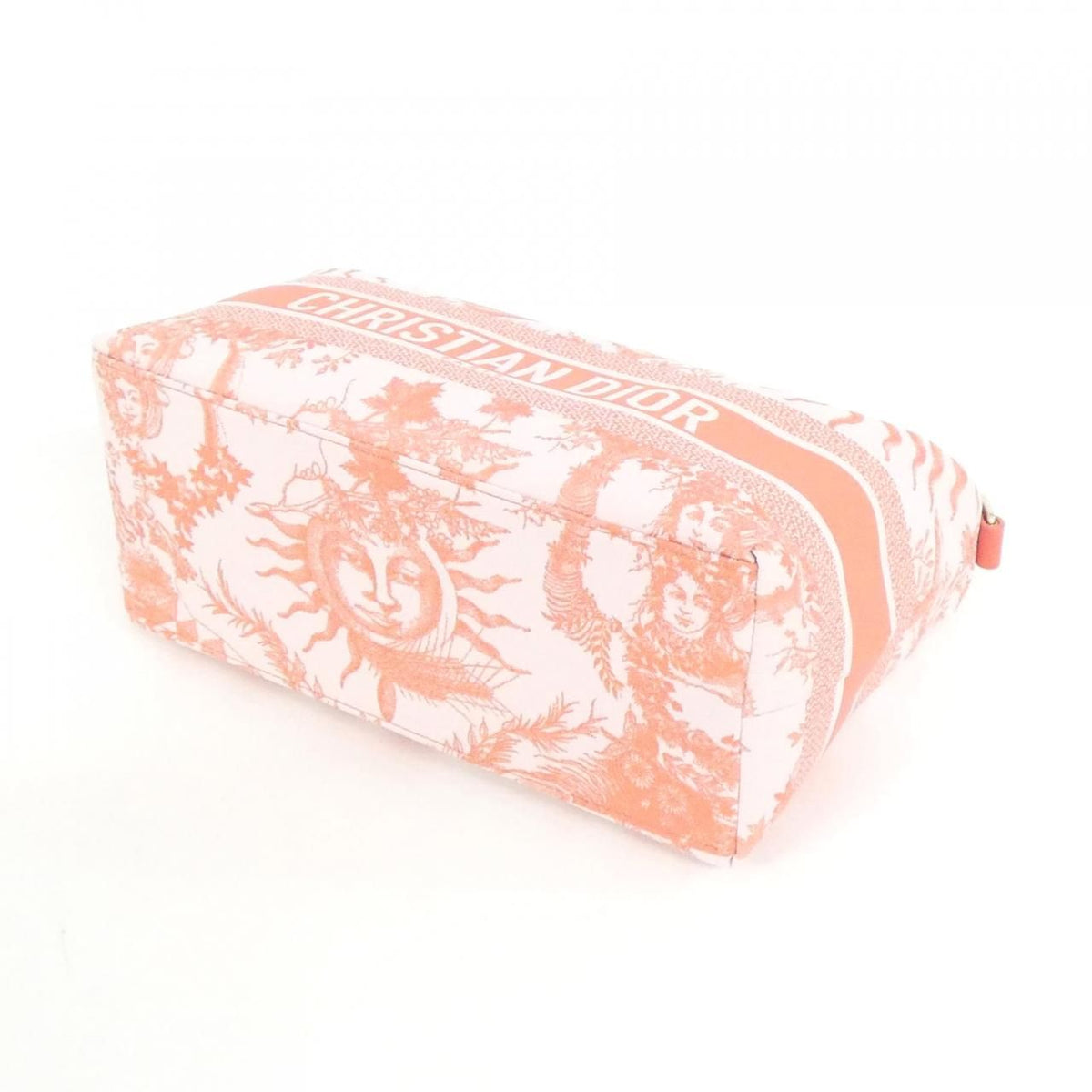 Christian Dior TOILE DE JOUY SOLEIL Nomad Technical Canvas Pouch