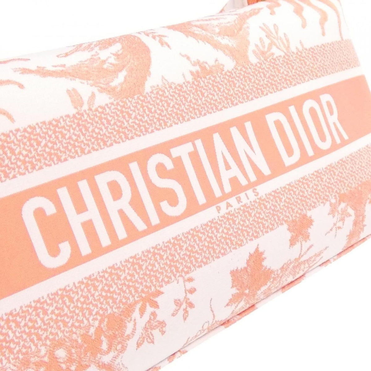Christian Dior TOILE DE JOUY SOLEIL Nomad Technical Canvas Pouch