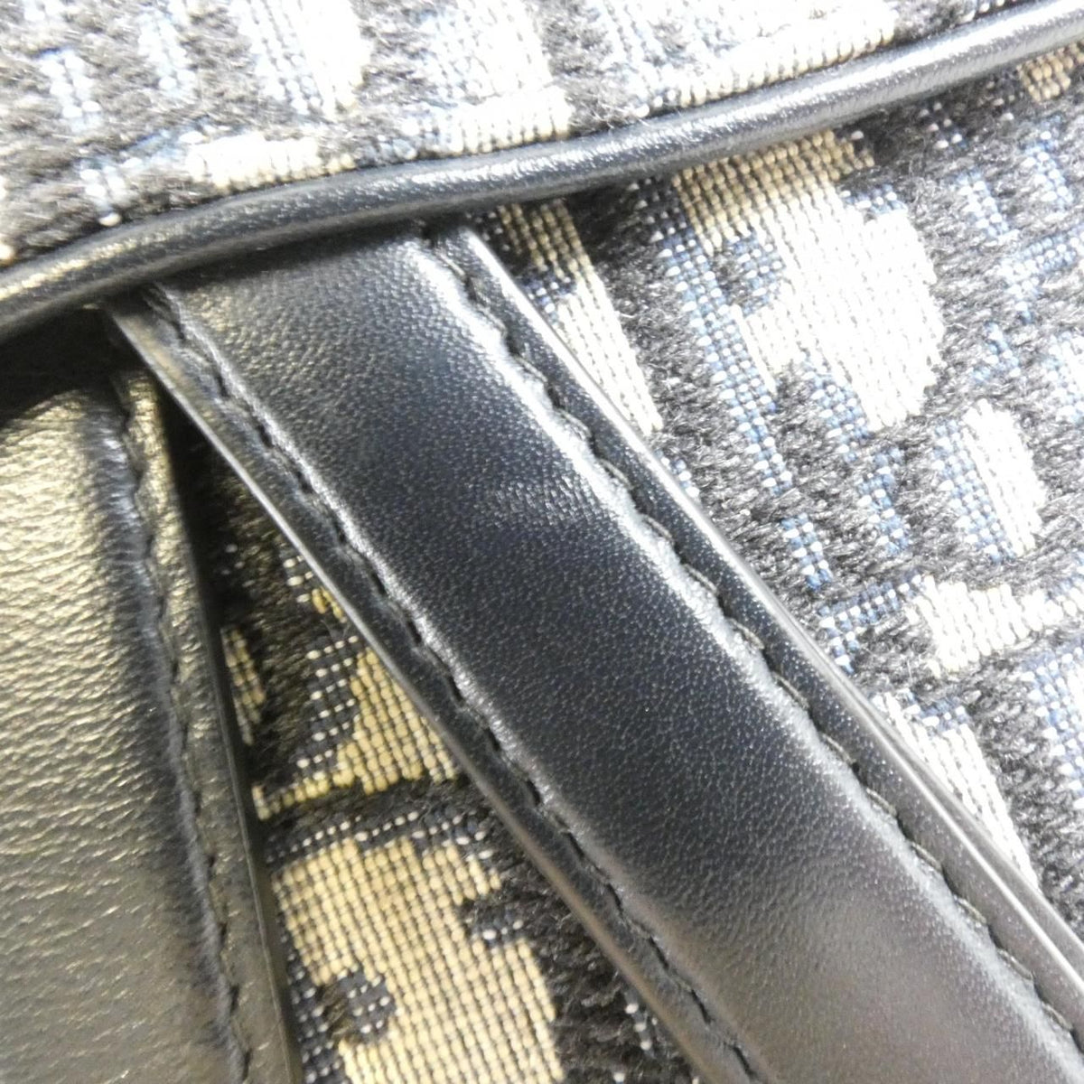 Christian Dior Dior Oblique Canvas Waist Bag