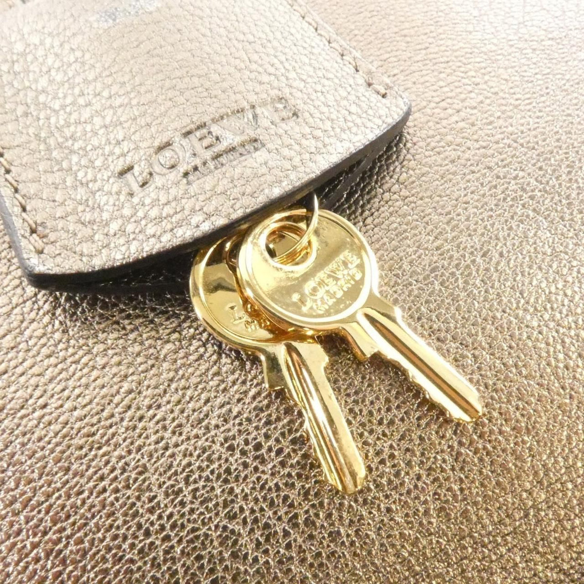 Loewe Amazona Goat Leather Handbag