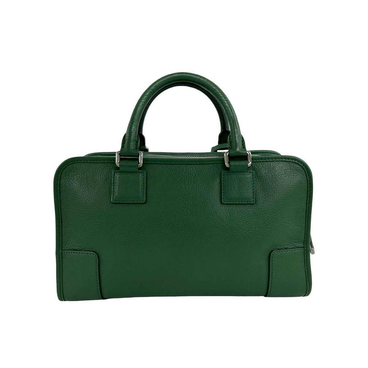 Loewe Amazona Leather Handbag