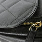 Chanel Caviar Skin Bag