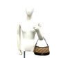 Christian Dior Canvas Leather Handbag