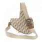 Dior Saddle Cactus Jack Travis Scott Shoulder Bag
