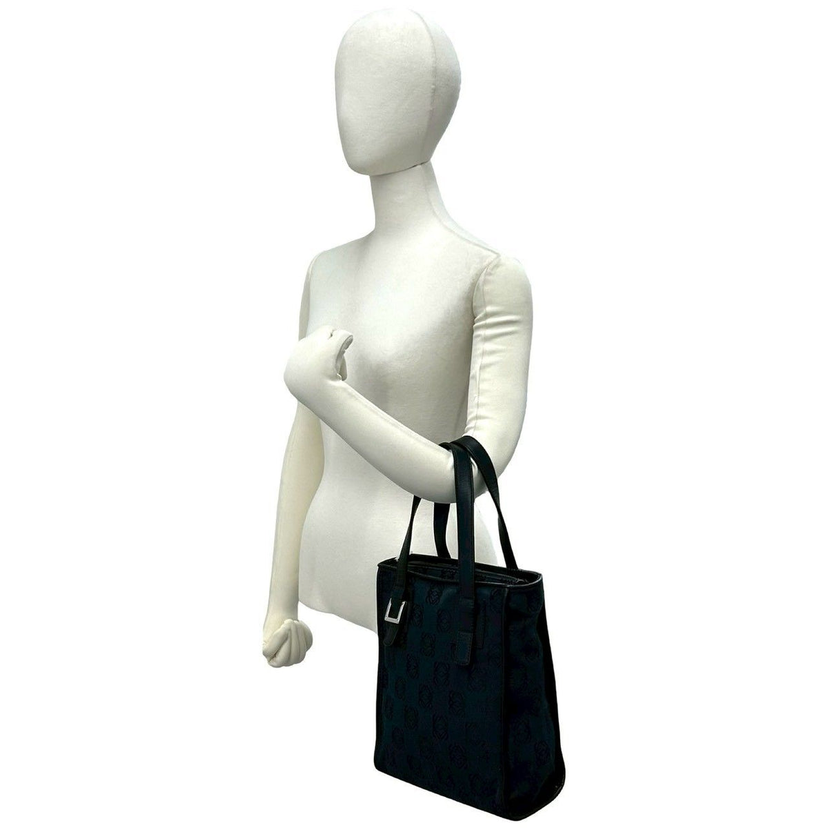 Loewe Anagram Canvas Leather Handbag