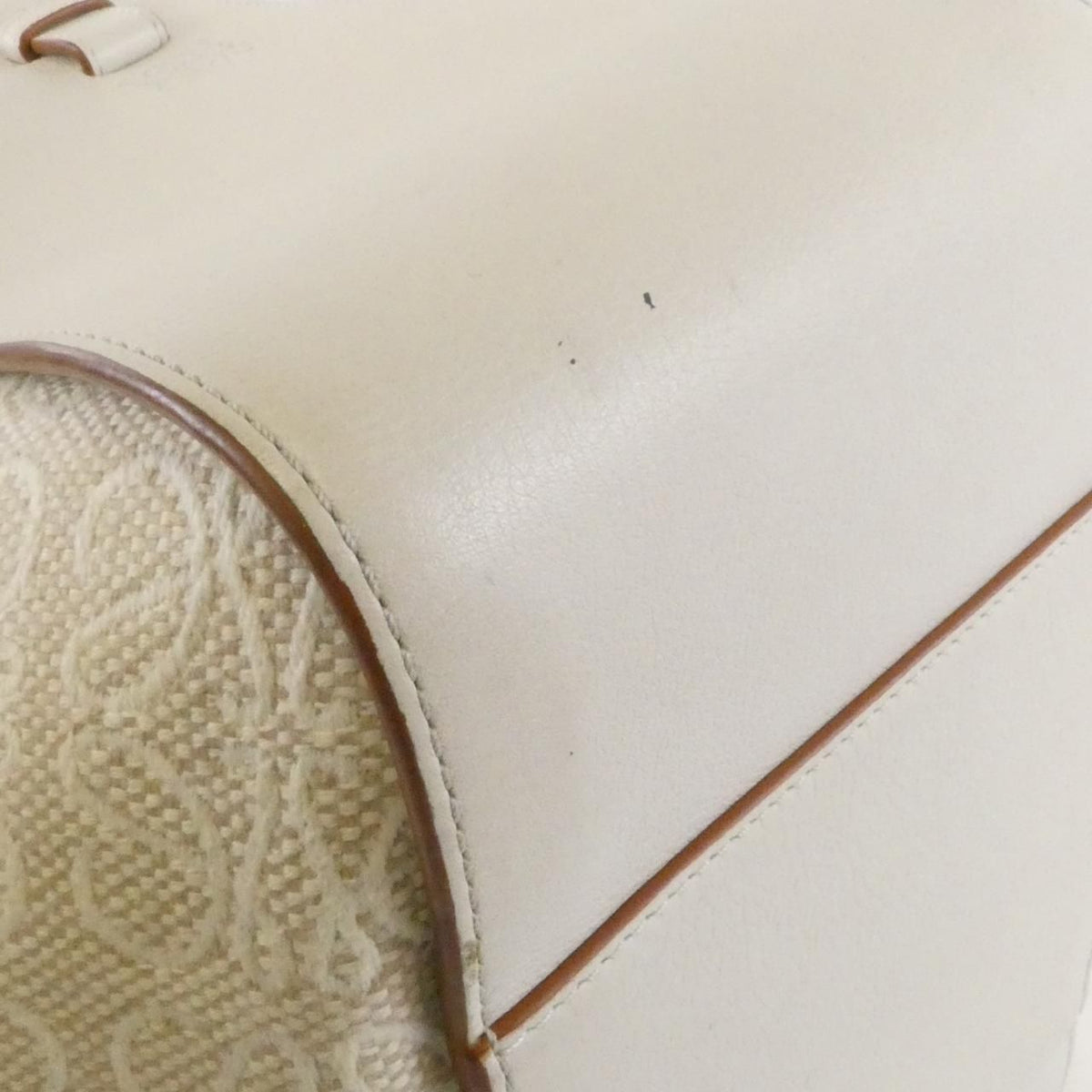 Loewe Hammock Small Anagram Jacquard Canvas Calfskin Shoulder Bag