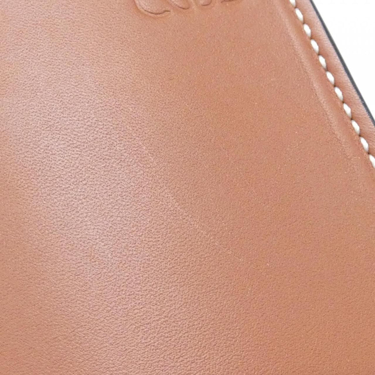 Loewe Gate Pocket Calf Shoulder Bag
