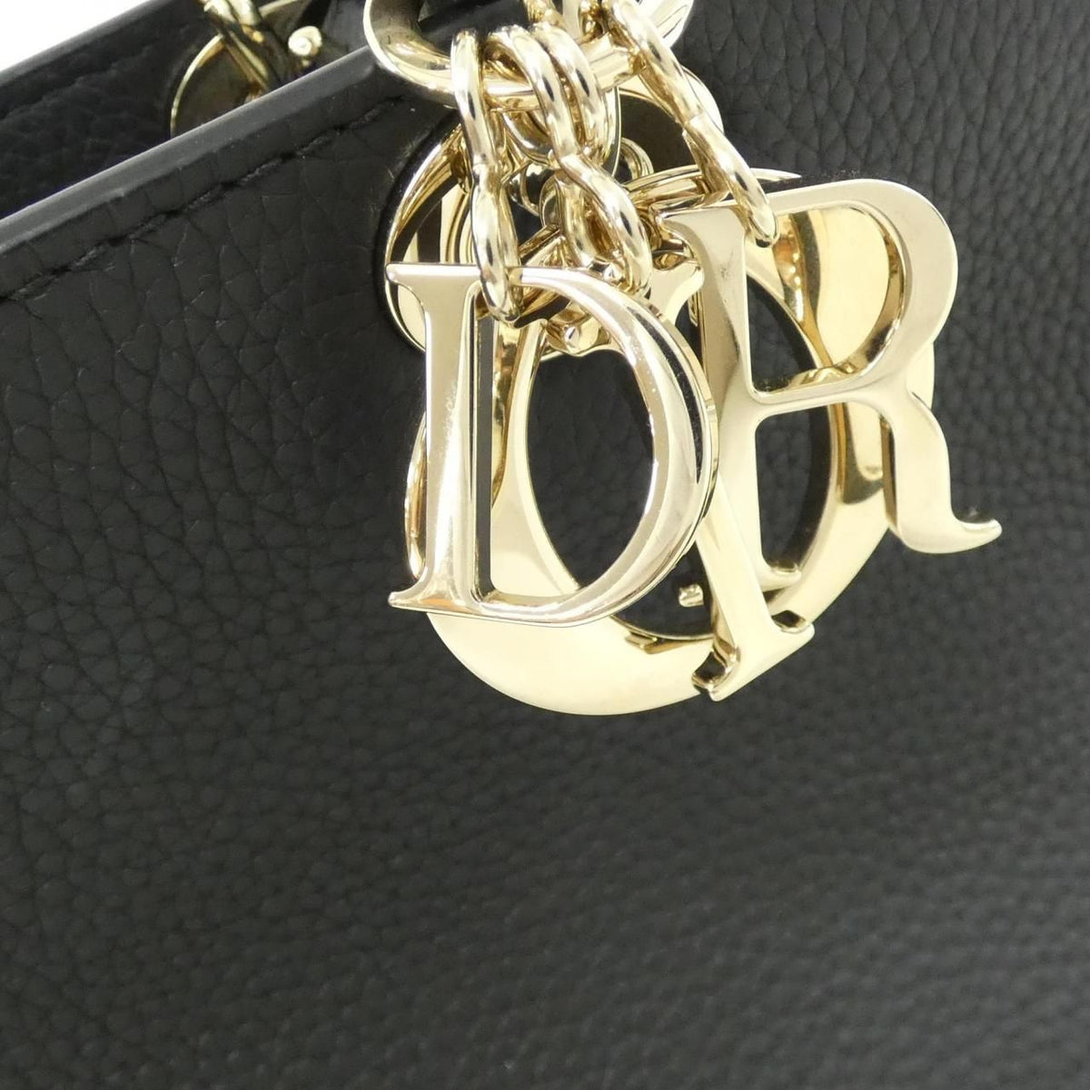 Christian Dior Lady D-Sire Leather Bag
