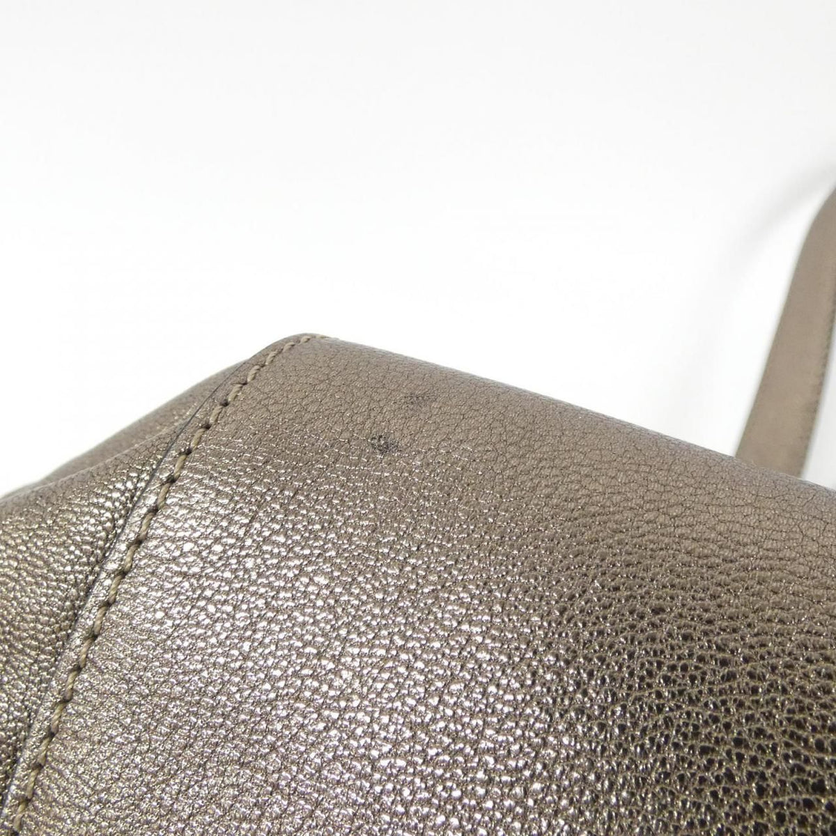Loewe MAIA TOTE Goat Tote