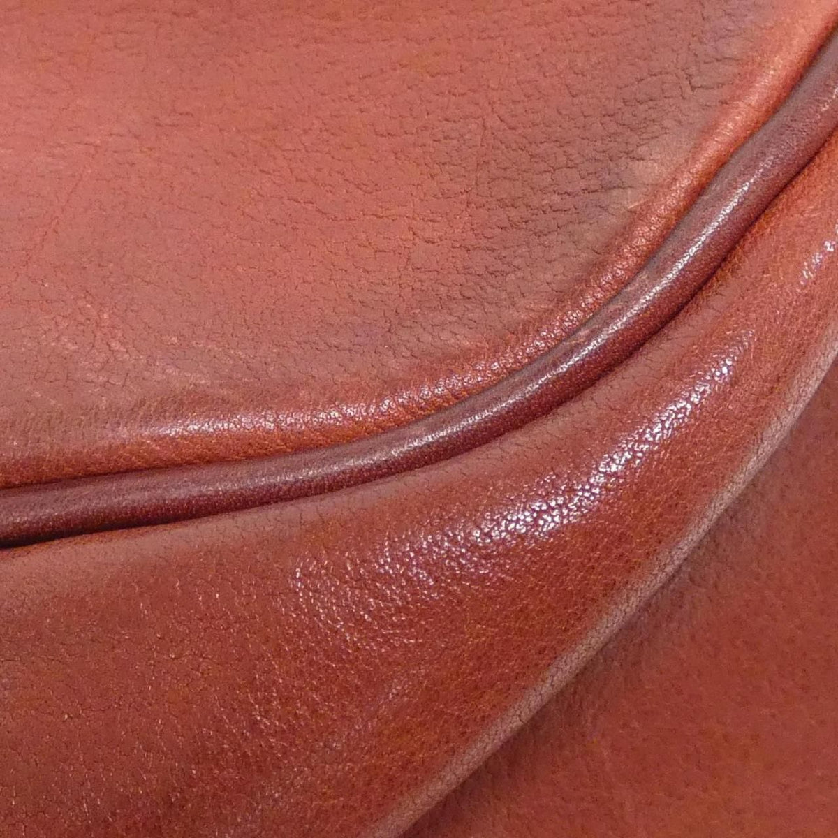 Christian Dior Leather Tote Bag