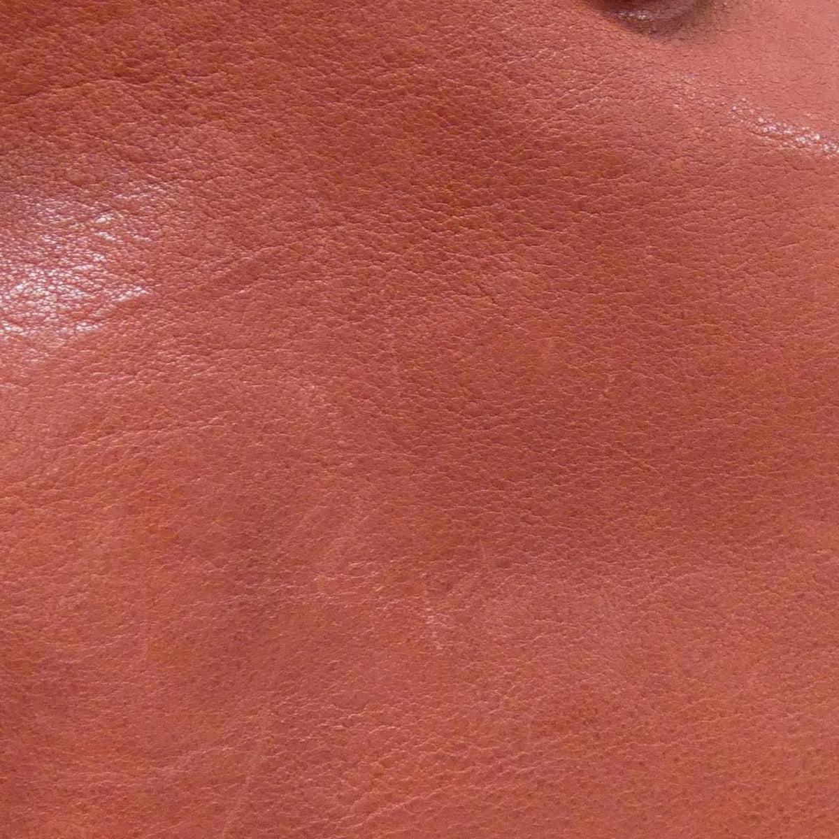 Christian Dior Leather Tote Bag