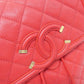 Chanel Caviar Skin Backpack