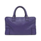 Loewe Amazona Goatskin Handbag