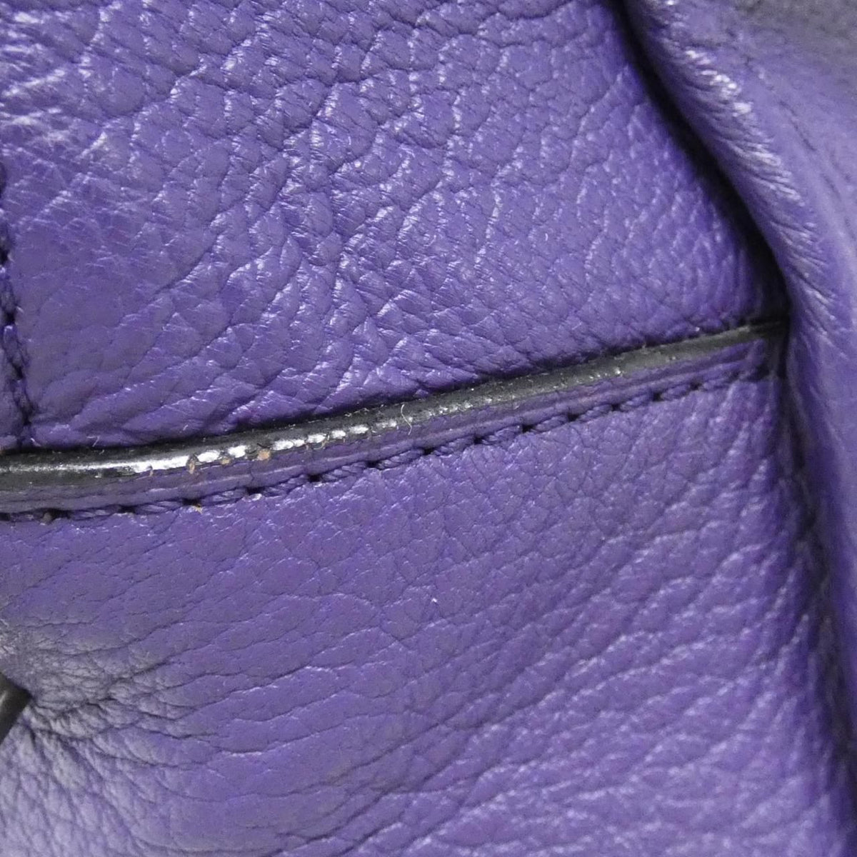 Loewe Amazona Goatskin Handbag
