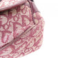 Christian Dior Canvas Shoulder Bag
