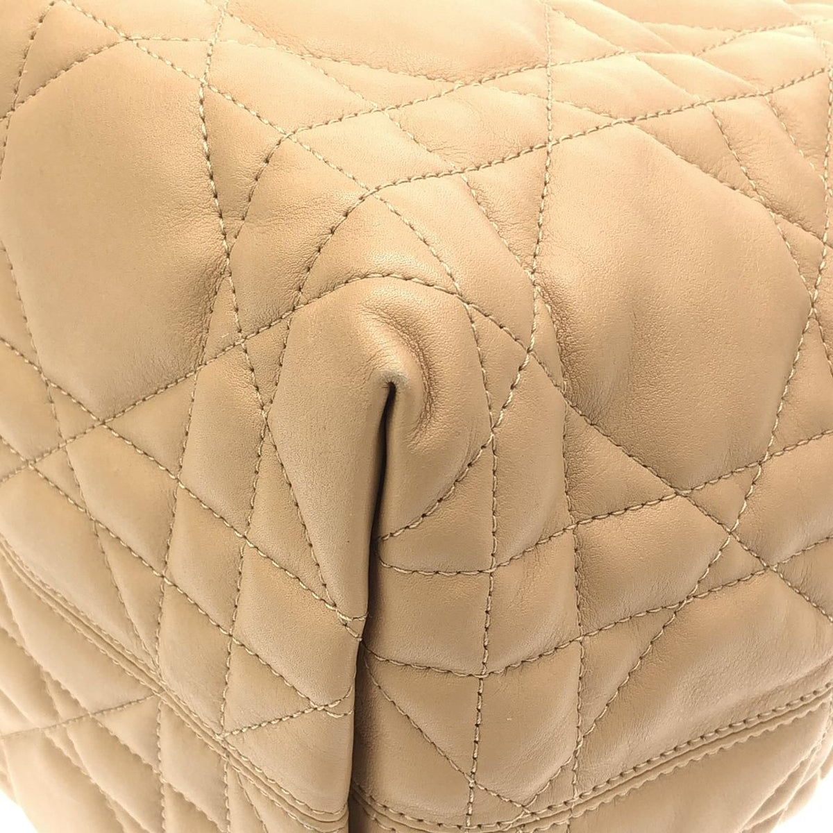 Christian Dior Dior Toujours Calf Tote Bag