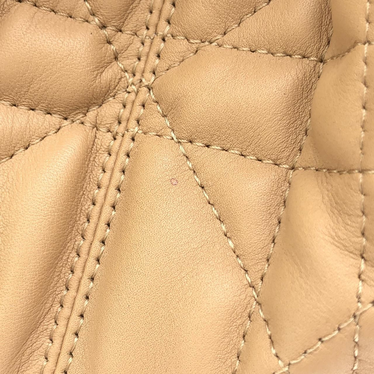 Christian Dior Dior Toujours Calf Tote Bag