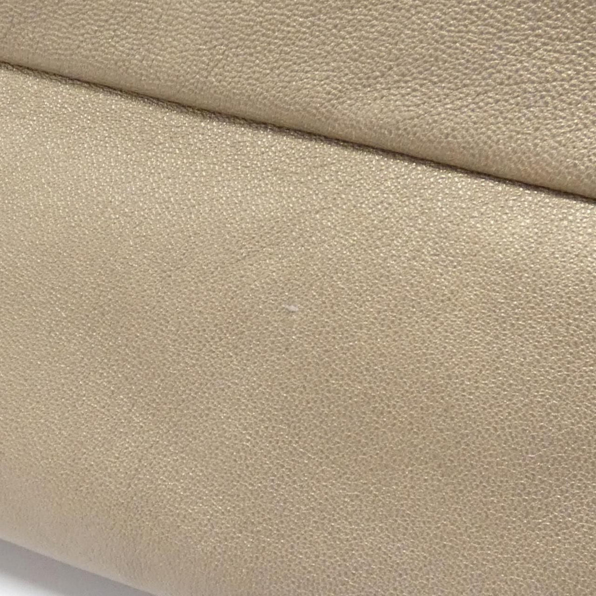 Loewe Mistral Sheepskin Bag
