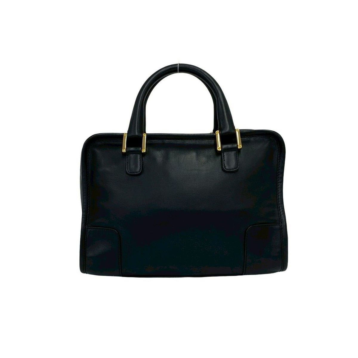 Loewe Amazona Leather Handbag