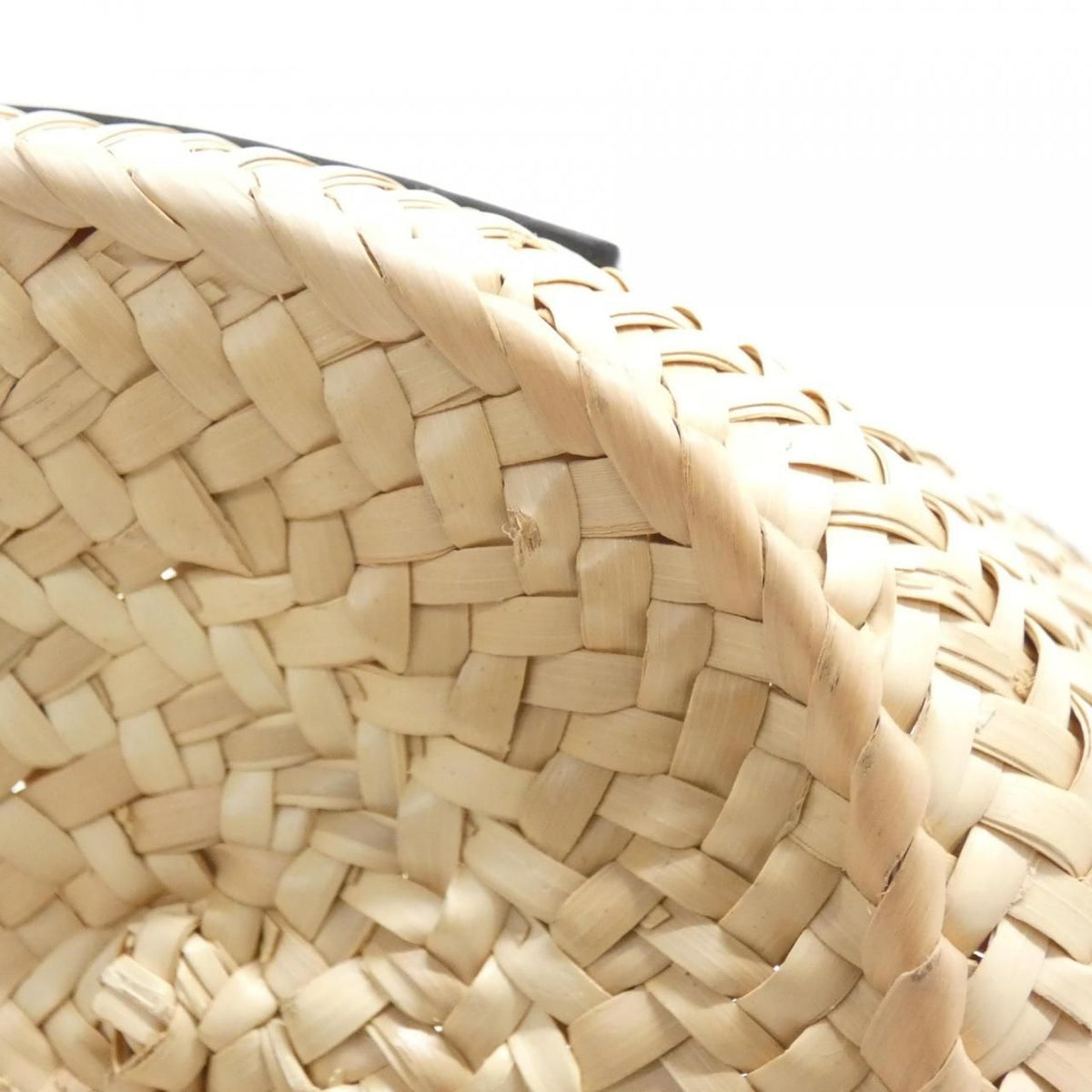 Loewe Raffia Calfskin Bag