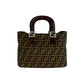 Fendi Canvas Leather Handbag