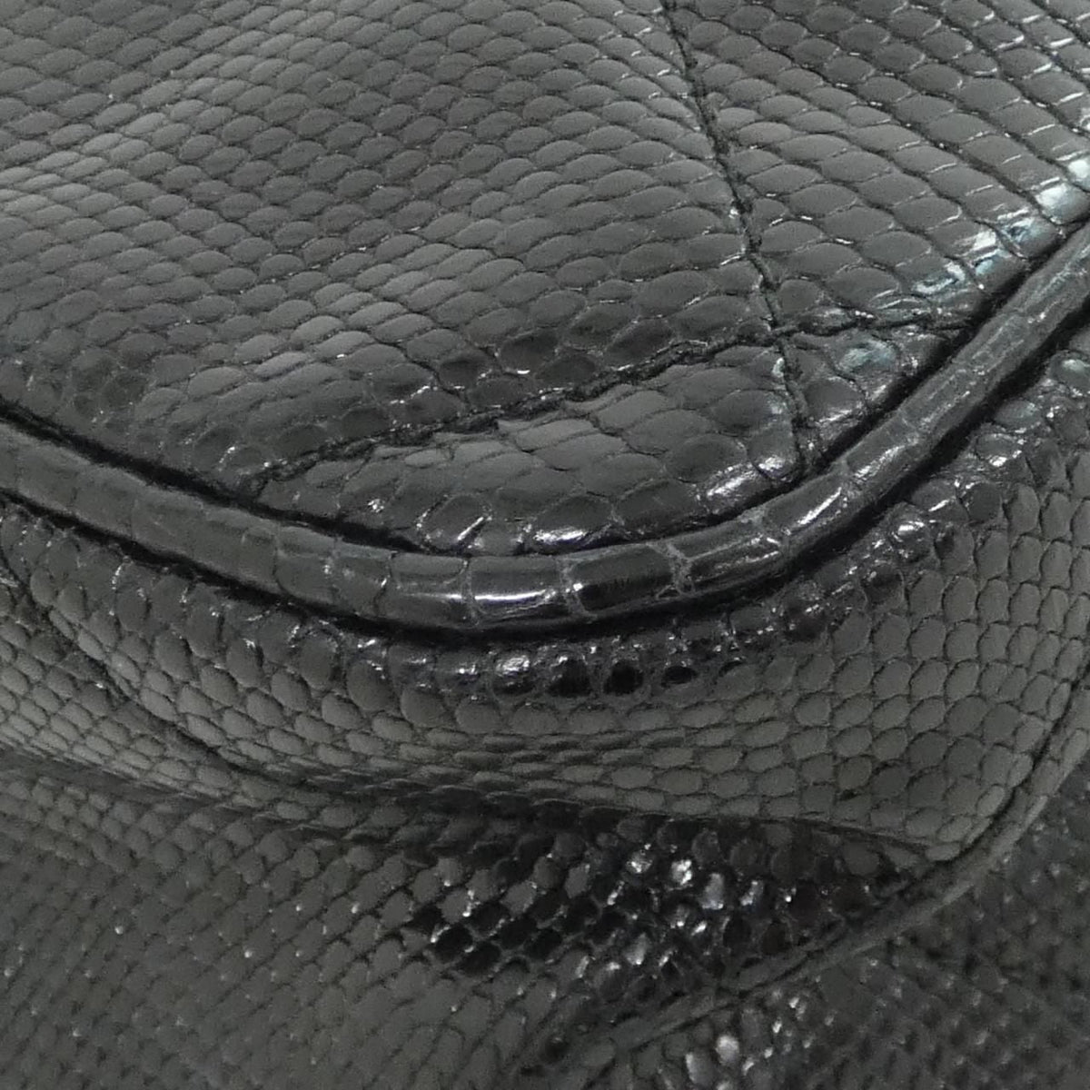 Chanel Lizard Shoulder Bag