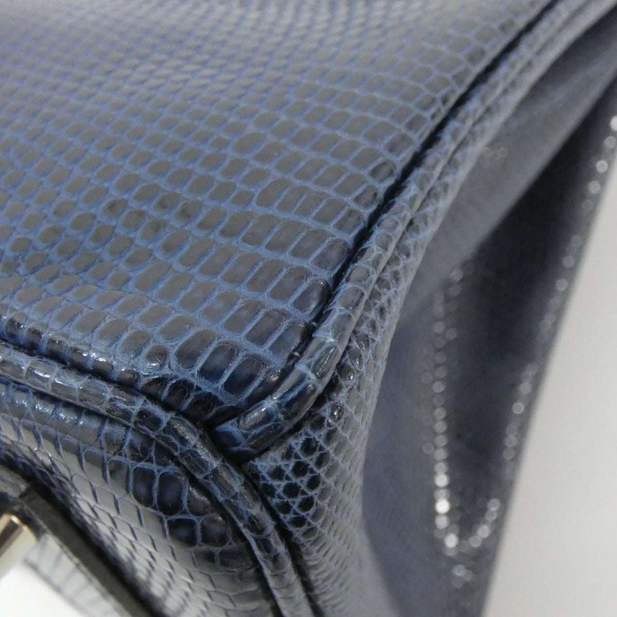 Hermes Birkin25 Lizard
