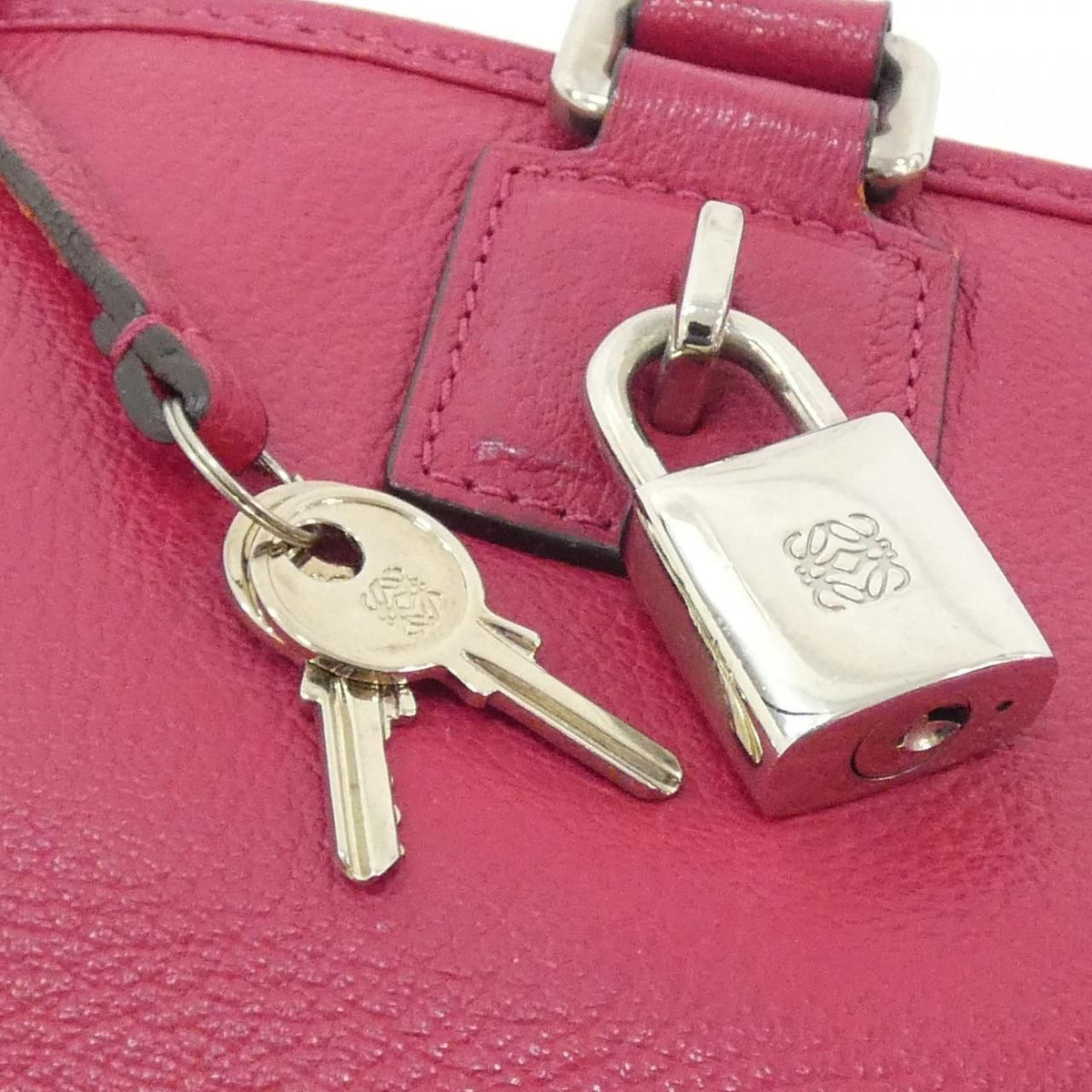Loewe Amazona Goat Handbag