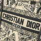 Christian Dior Plan De Paris Dior Book Tote Mini Vertical Canvas Handbag