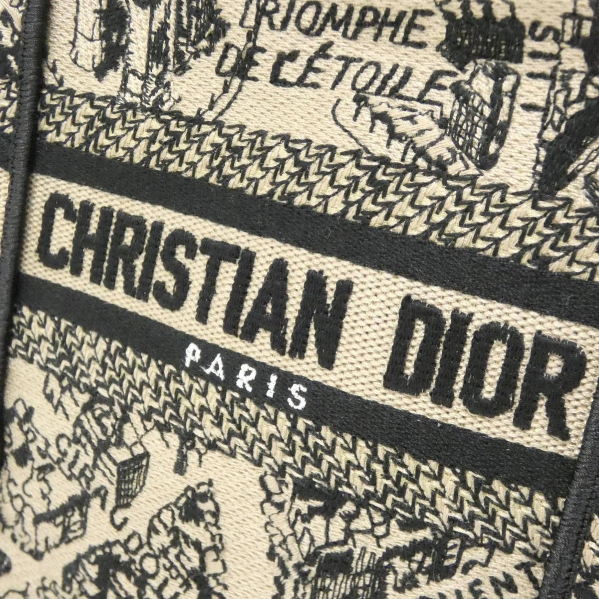 Christian Dior Plan De Paris Dior Book Tote Mini Vertical Canvas Handbag